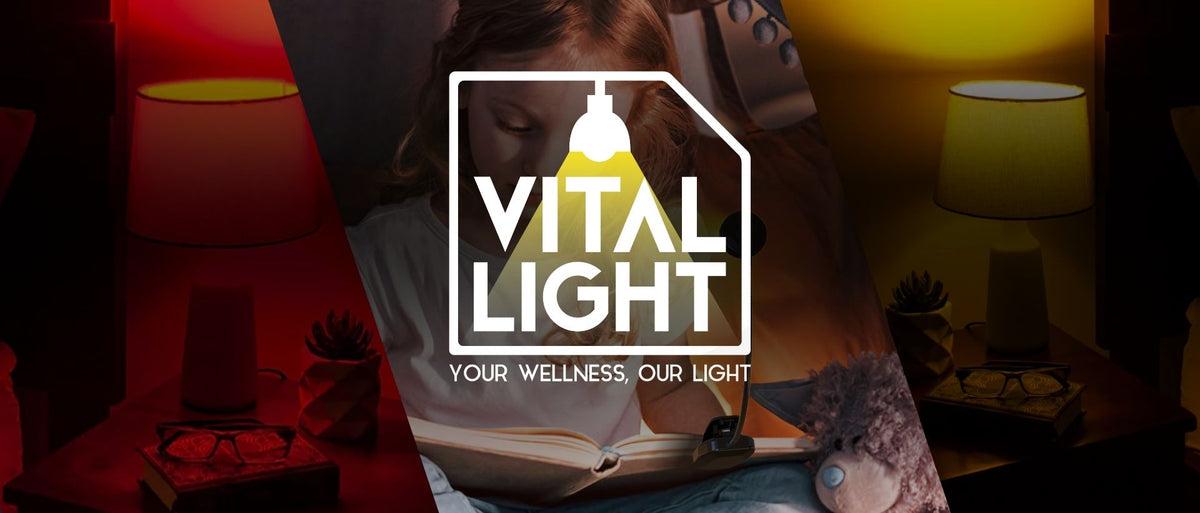 Transform Your Home with the Versatile 3-in-1 Bulb