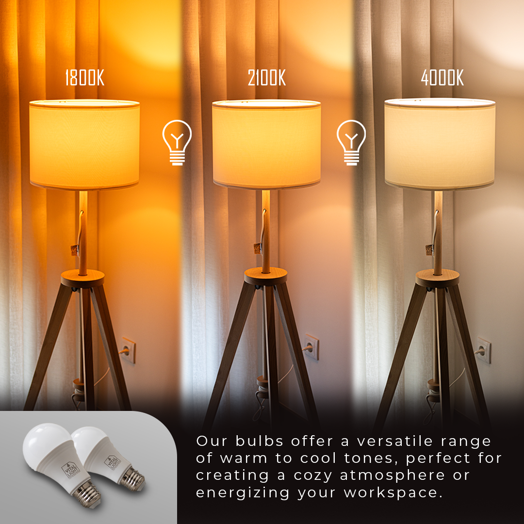 Vital Spectrum: Lighting for Every Moment